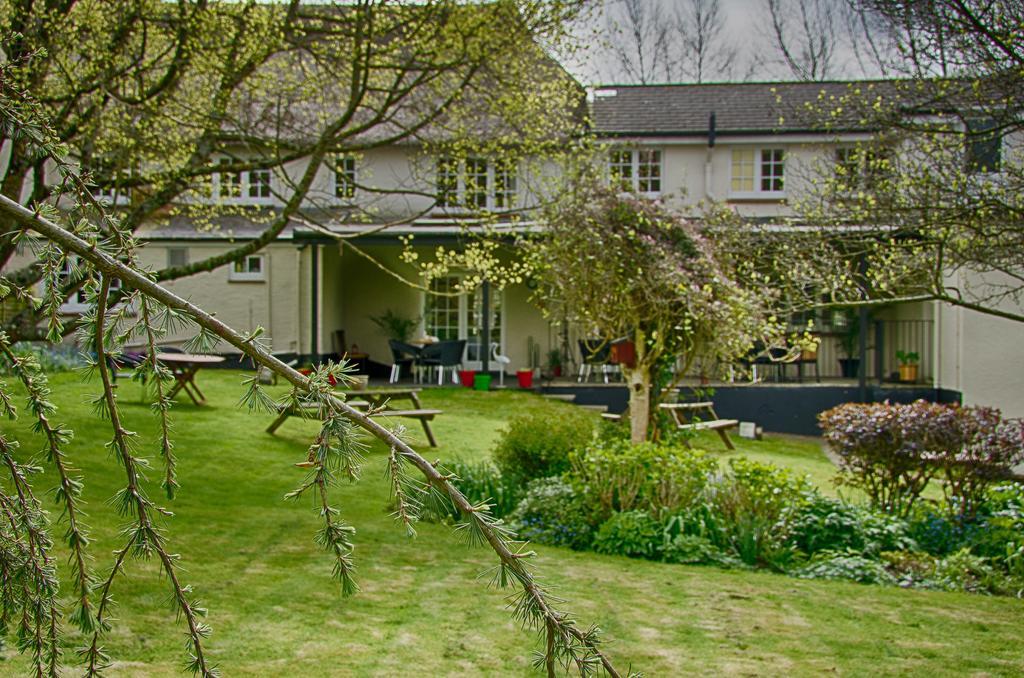 Tumbling Weir Hotel Ottery St Mary Extérieur photo