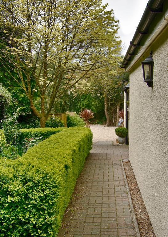 Tumbling Weir Hotel Ottery St Mary Extérieur photo