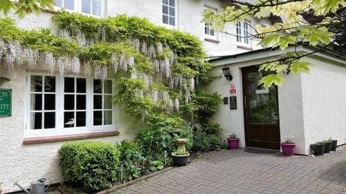 Tumbling Weir Hotel Ottery St Mary Extérieur photo